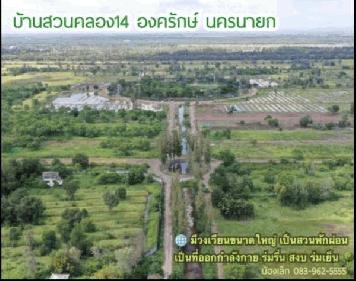 ขายที่ดิน 350 ตร.ว. บ้านสวนคลอง14 อำเภอองครักษ์ นครนายก อยู่ใกล้ มหาวิทยาลัย มศว.องครักษ์, รพ.ศูนย์การแพทย์ฯ 